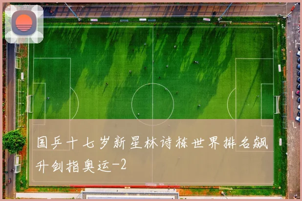 国乒十七岁新星林诗栋世界排名飙升剑指奥运