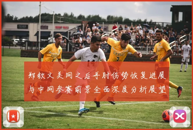 郑钦文美网之后手肘伤势恢复进展与中网参赛前景全面深度分析展望